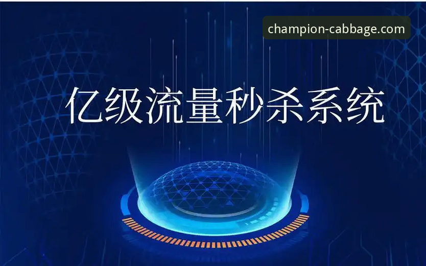 资深用户实战分享：热门资源白菜导航手机版高效使用心得