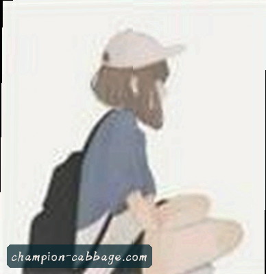王磊
