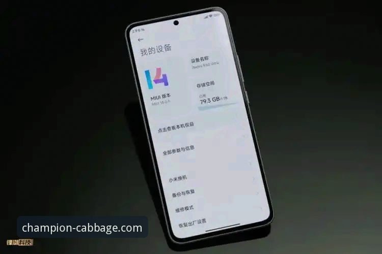 冠军白菜APP vs 官网下载：中国官方下载地址推荐与第三方渠道全面对比